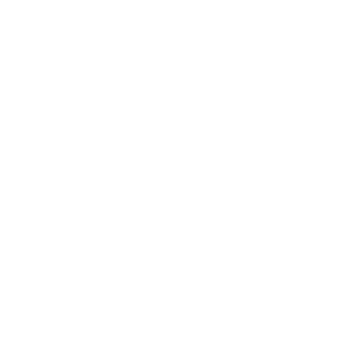 Parking Icon